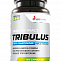  Заказать Tribulus (90капс/500мг) (WestPharm) - цена  руб.